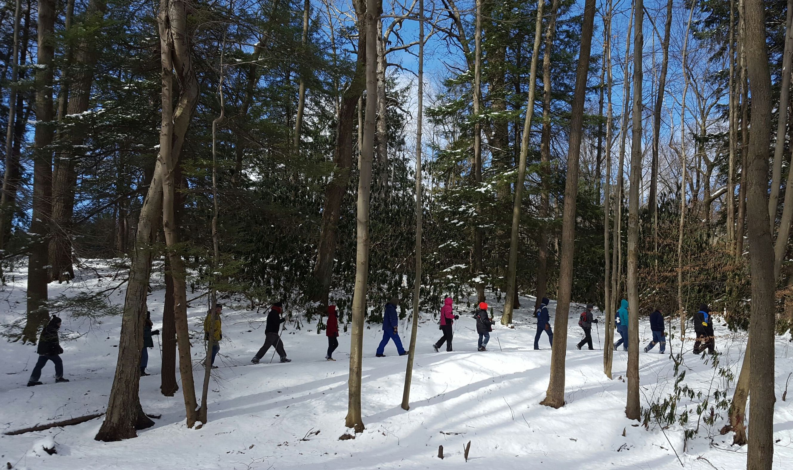 Monroe County Park